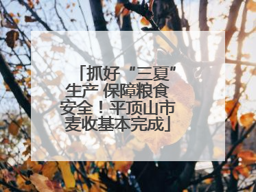 抓好“三夏”生产 保障粮食安全！平顶山市麦收基本完成