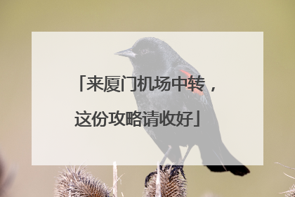 来厦门机场中转，这份攻略请收好