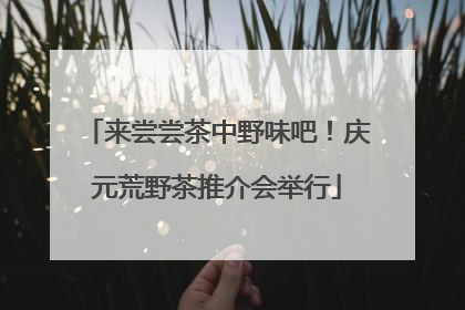 来尝尝茶中野味吧！庆元荒野茶推介会举行