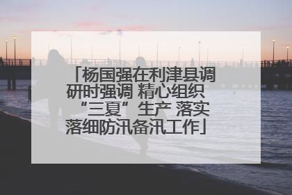 杨国强在利津县调研时强调 精心组织“三夏”生产 落实落细防汛备汛工作
