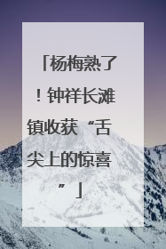杨梅熟了！钟祥长滩镇收获“舌尖上的惊喜”