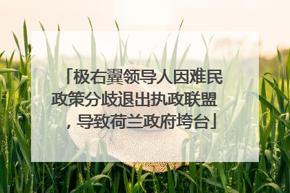 极右翼领导人因难民政策分歧退出执政联盟，导致荷兰政府垮台