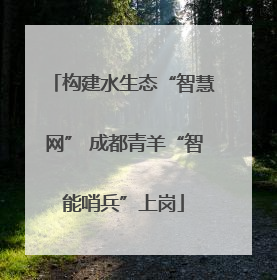 构建水生态“智慧网” 成都青羊“智能哨兵”上岗