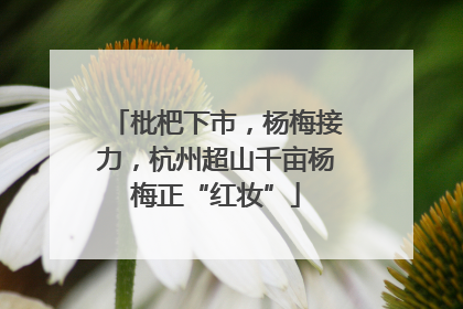 枇杷下市，杨梅接力，杭州超山千亩杨梅正“红妆”