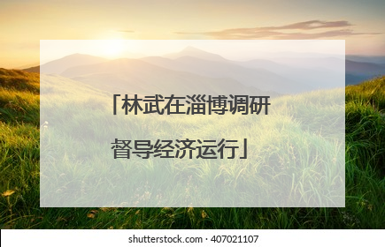 林武在淄博调研督导经济运行