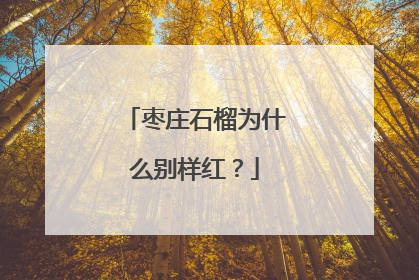 枣庄石榴为什么别样红？