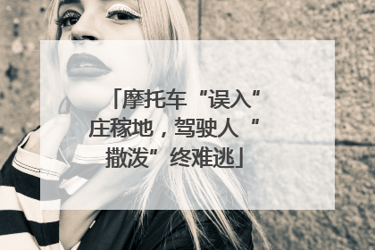 摩托车“误入”庄稼地，驾驶人“撒泼”终难逃