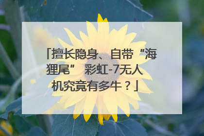 擅长隐身、自带“海狸尾” 彩虹-7无人机究竟有多牛？