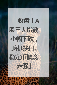 收盘丨A股三大指数小幅下跌，脑机接口、稳定币概念走强