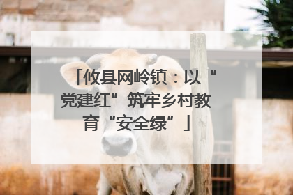 攸县网岭镇：以“党建红”筑牢乡村教育“安全绿”
