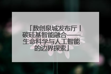 数创泉城发布厅丨碳硅基智能融合——生命科学与人工智能的边界探索