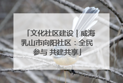 文化社区建设｜威海乳山市向阳社区：全民参与 共建共享