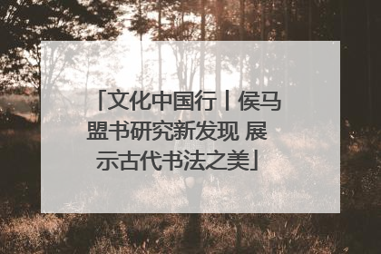 文化中国行丨侯马盟书研究新发现 展示古代书法之美