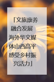 文旅康养融合发展 海外华文媒体山西高平感受乡村振兴活力
