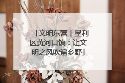 文明东营｜垦利区黄河口镇：让文明之风吹遍乡野