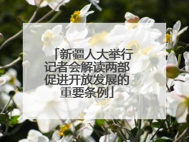 新疆人大举行记者会解读两部促进开放发展的重要条例