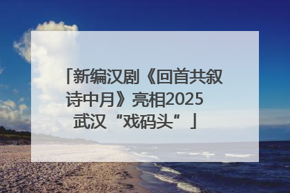 新编汉剧《回首共叙诗中月》亮相2025武汉“戏码头”