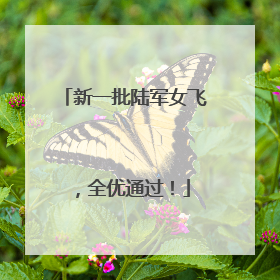新一批陆军女飞，全优通过！