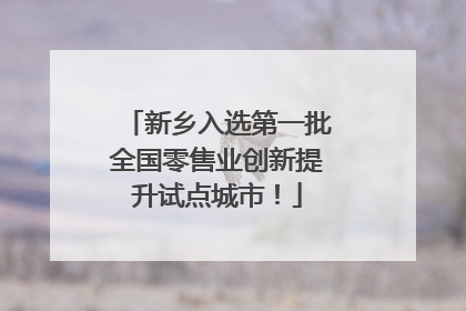 新乡入选第一批全国零售业创新提升试点城市！