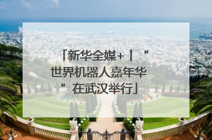 新华全媒+丨“世界机器人嘉年华”在武汉举行