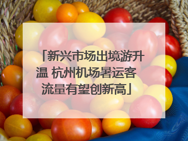 新兴市场出境游升温 杭州机场暑运客流量有望创新高