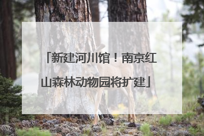 新建河川馆！南京红山森林动物园将扩建