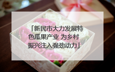 新民市大力发展特色瓜果产业 为乡村振兴注入强劲动力