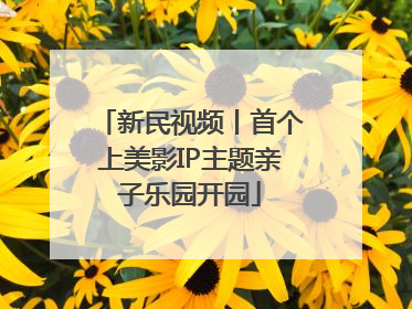 新民视频丨首个上美影IP主题亲子乐园开园
