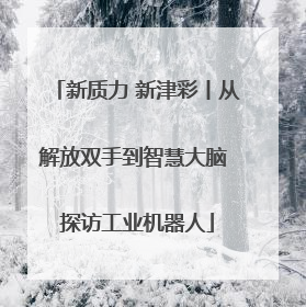 新质力 新津彩丨从解放双手到智慧大脑 探访工业机器人