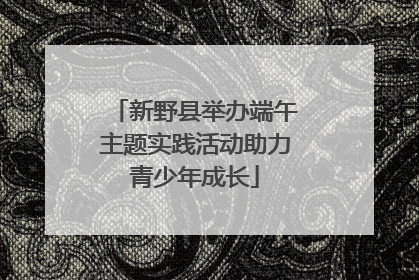 新野县举办端午主题实践活动助力青少年成长