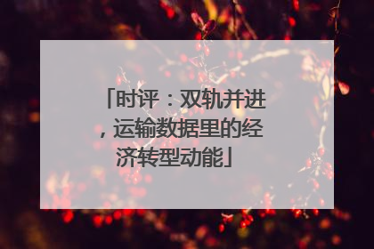 时评：双轨并进，运输数据里的经济转型动能