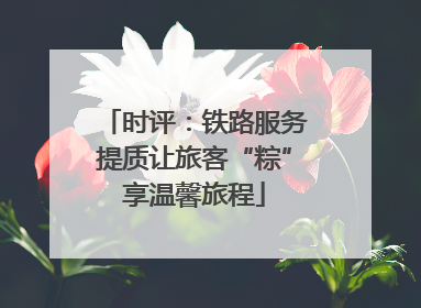 时评：铁路服务提质让旅客“粽”享温馨旅程