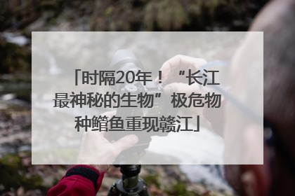 时隔20年！“长江最神秘的生物”极危物种鳤鱼重现赣江