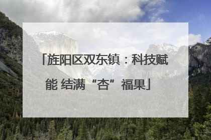 旌阳区双东镇:科技赋能 结满“杏”福果