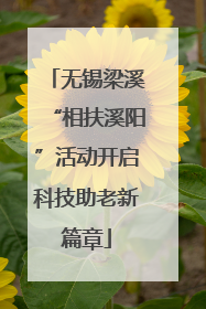 无锡梁溪“相扶溪阳”活动开启科技助老新篇章