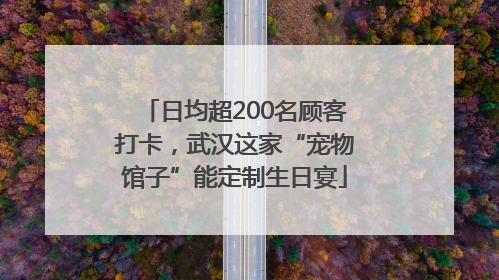 日均超200名顾客打卡，武汉这家“宠物馆子”能定制生日宴