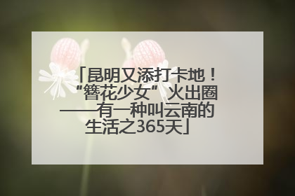 昆明又添打卡地！“簪花少女”火出圈——有一种叫云南的生活之365天