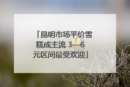 昆明市场平价雪糕成主流 3—6元区间最受欢迎