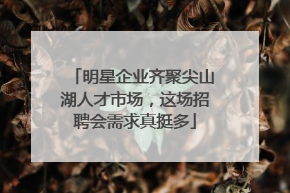 明星企业齐聚尖山湖人才市场，这场招聘会需求真挺多