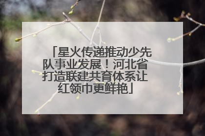 星火传递推动少先队事业发展！河北省打造联建共育体系让红领巾更鲜艳
