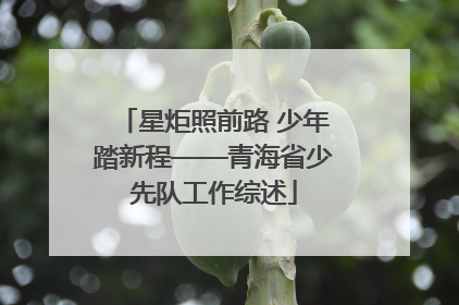 星炬照前路 少年踏新程——青海省少先队工作综述