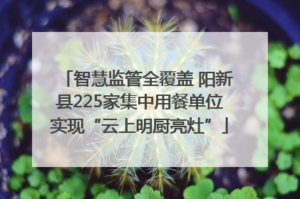 智慧监管全覆盖 阳新县225家集中用餐单位实现“云上明厨亮灶”