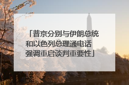 普京分别与伊朗总统和以色列总理通电话 强调重启谈判重要性
