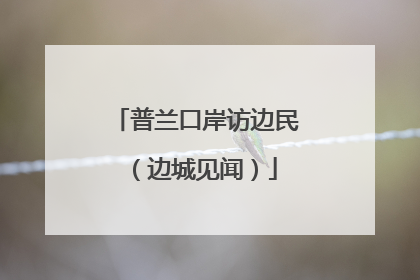 普兰口岸访边民（边城见闻）