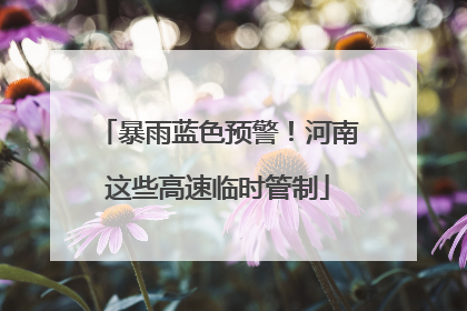 暴雨蓝色预警！河南这些高速临时管制