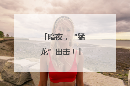 暗夜，“猛龙”出击！
