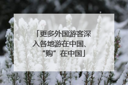 更多外国游客深入各地游在中国、“购”在中国