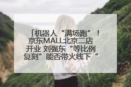 机器人“满场跑”！京东MALL北京二店开业 刘强东“等比例复刻”能否带火线下“618”？