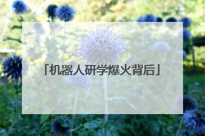 机器人研学爆火背后