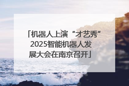 机器人上演“才艺秀” 2025智能机器人发展大会在南京召开